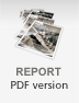 Download Report